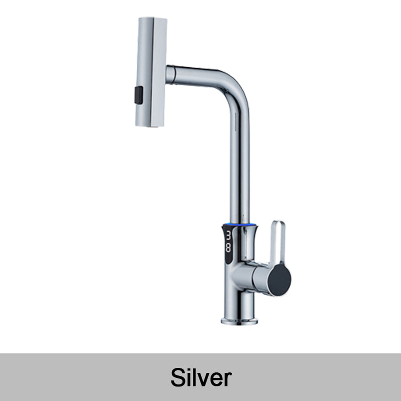 Multifunctional Pull Out Kitchen Sink Faucet with Digital Temperature Display