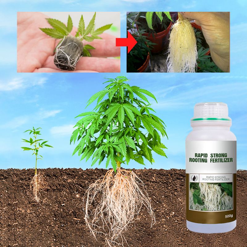 Rapid Strong Rooting Fertilizer