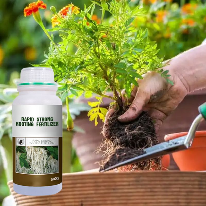 Rapid Strong Rooting Fertilizer