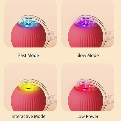 ⏳🔥LIMITED-TIME 50% OFF! ⏰Smart Automatic Rolling Pet Ball