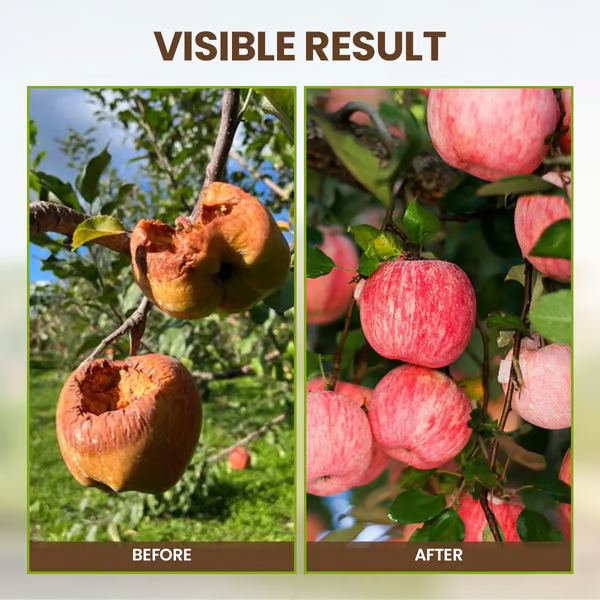 🔥Buy 2 Get 1 Free🔥Soil Improvement Loosening Agent