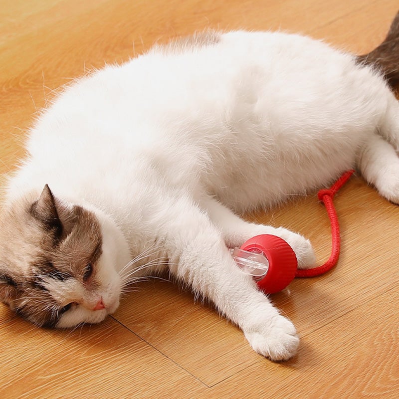 ⏳🔥LIMITED-TIME 50% OFF! ⏰Smart Automatic Rolling Pet Ball