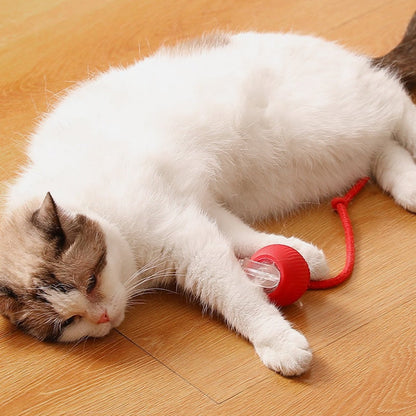 ⏳🔥LIMITED-TIME 50% OFF! ⏰Smart Automatic Rolling Pet Ball