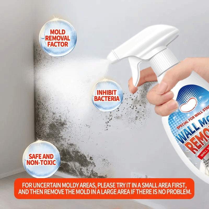 Erase Mould Instantly! Long-Lasting Prevention Spray