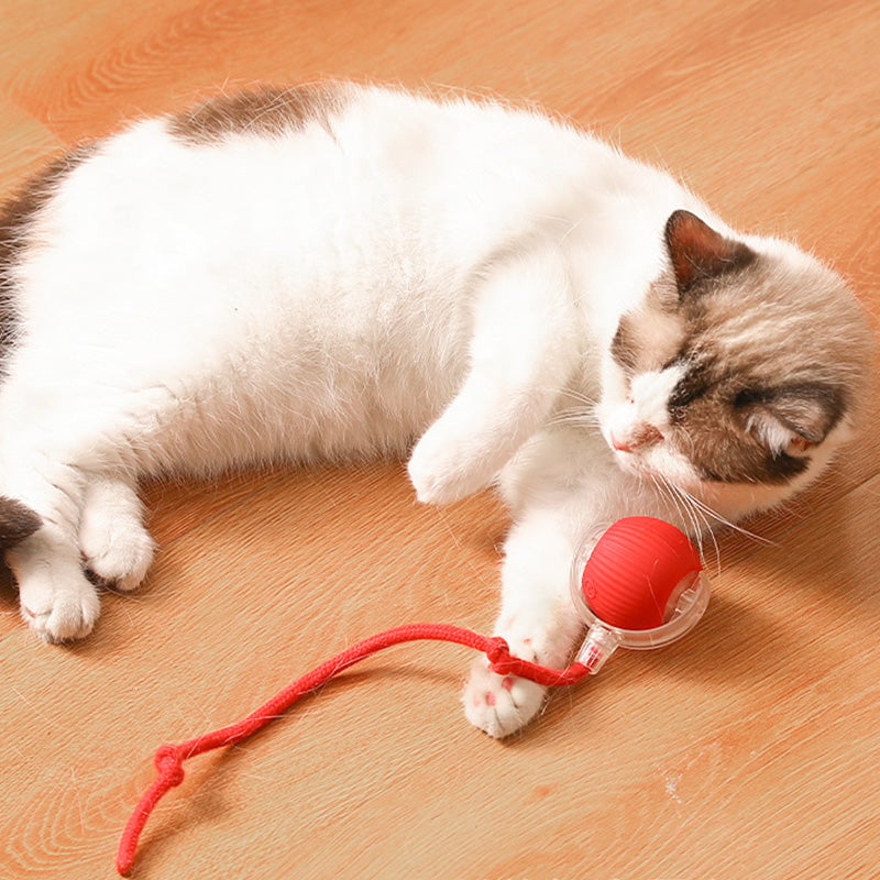 ⏳🔥LIMITED-TIME 50% OFF! ⏰Smart Automatic Rolling Pet Ball