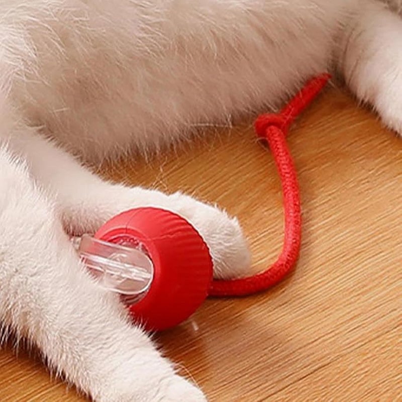 ⏳🔥LIMITED-TIME 50% OFF! ⏰Smart Automatic Rolling Pet Ball