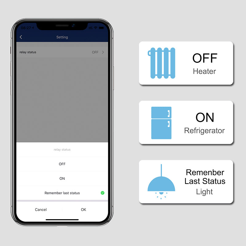 Plug-In Smart Wi-Fi Outlet