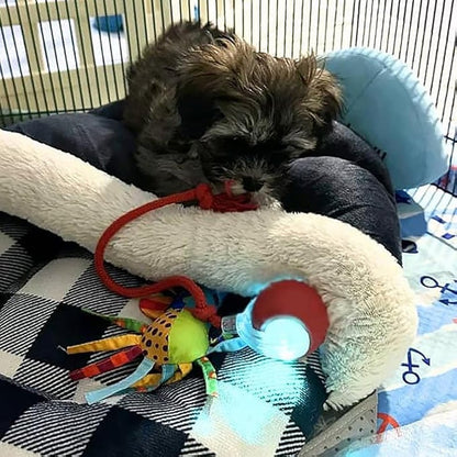 ⏳🔥LIMITED-TIME 50% OFF! ⏰Smart Automatic Rolling Pet Ball
