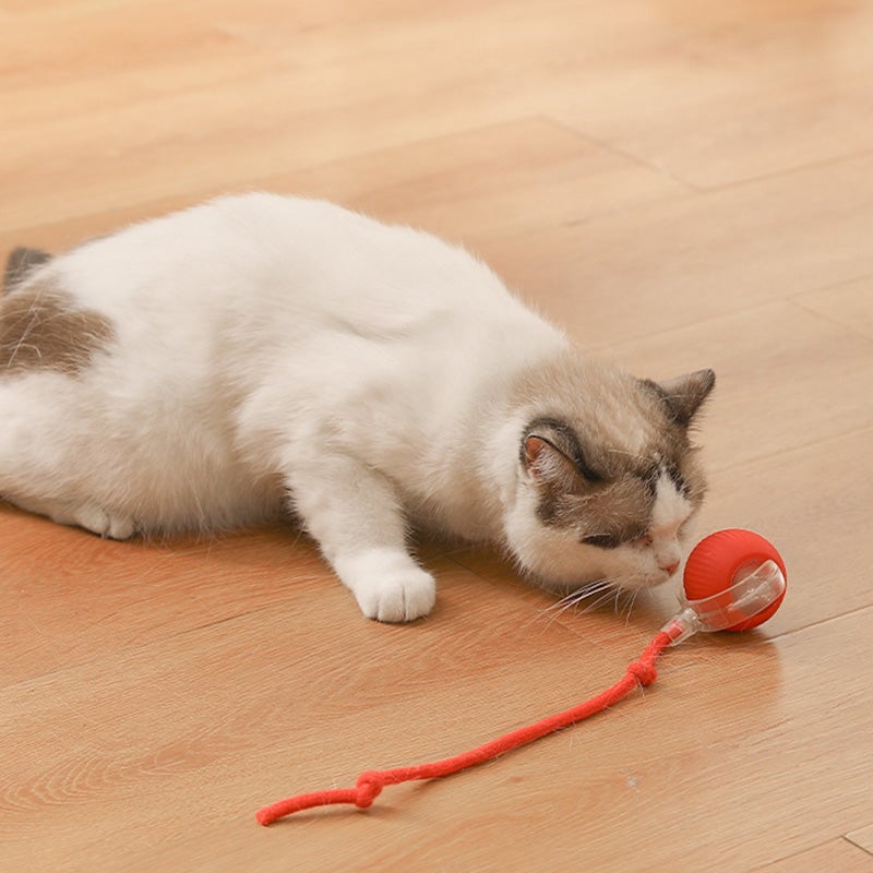 ⏳🔥LIMITED-TIME 50% OFF! ⏰Smart Automatic Rolling Pet Ball