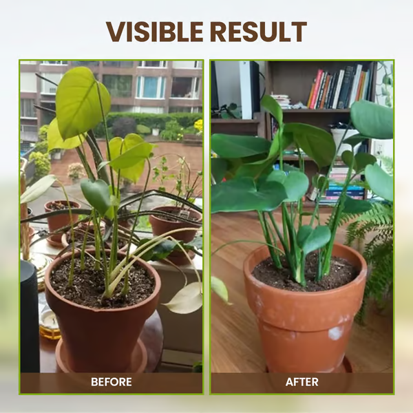 🔥Buy 2 Get 1 Free🔥Soil Improvement Loosening Agent