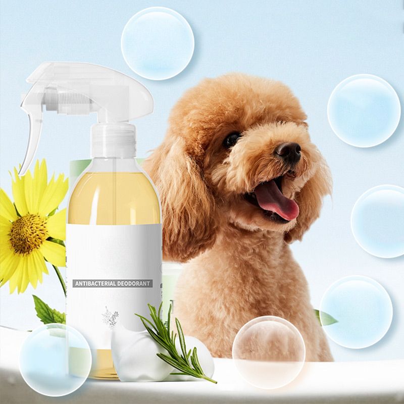 ?Buy one get one free for a limited time?Antibacterial Deodorant Pet Spray