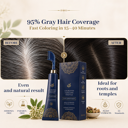 🔥Limited Time Promotion 50% OFF🔥Herbal Hair Dye Comb for Home Use