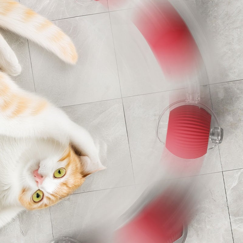 ⏳🔥LIMITED-TIME 50% OFF! ⏰Smart Automatic Rolling Pet Ball