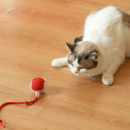 ⏳🔥LIMITED-TIME 50% OFF! ⏰Smart Automatic Rolling Pet Ball