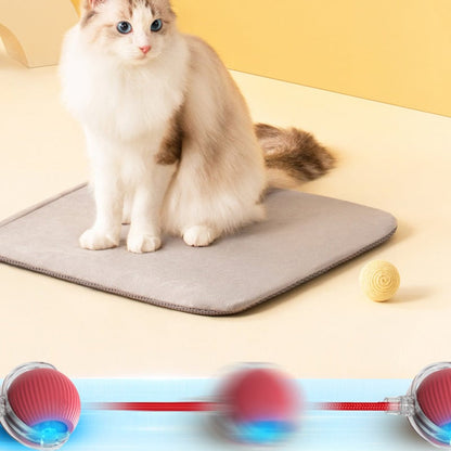 ⏳🔥LIMITED-TIME 50% OFF! ⏰Smart Automatic Rolling Pet Ball