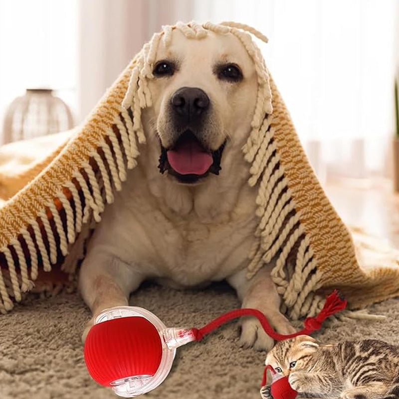 ⏳🔥LIMITED-TIME 50% OFF! ⏰Smart Automatic Rolling Pet Ball