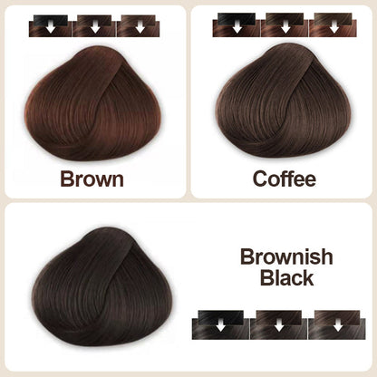Natural Plant Extract Bubble Hair Dye