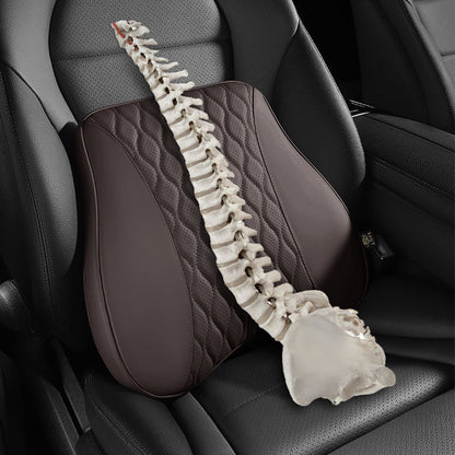 Universal Headrest & Backrest for Car