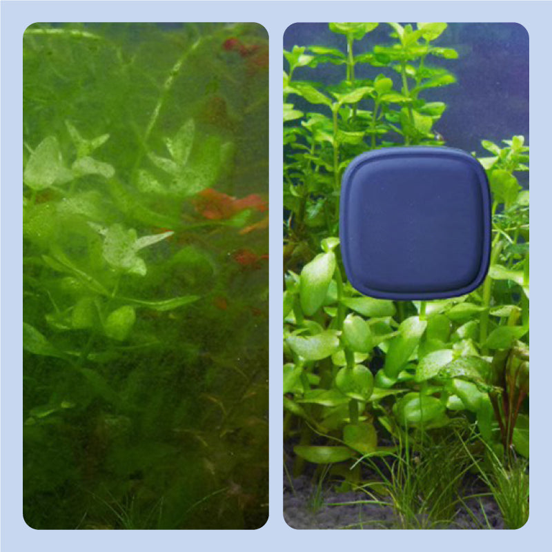 🔥Multi-purpose fish tank strong magnetic cleaning brush! Can be used for windows, fish tank glass!