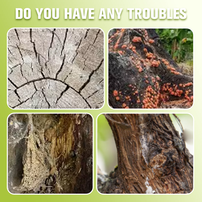 Healing Antiseptic Ointment for Tree Wound