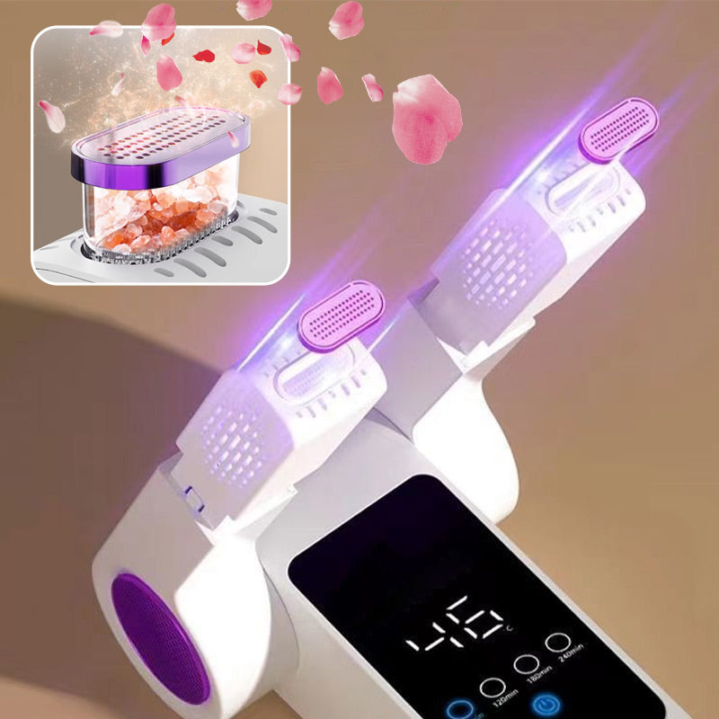 Shoe dryer (with deodorizing function)