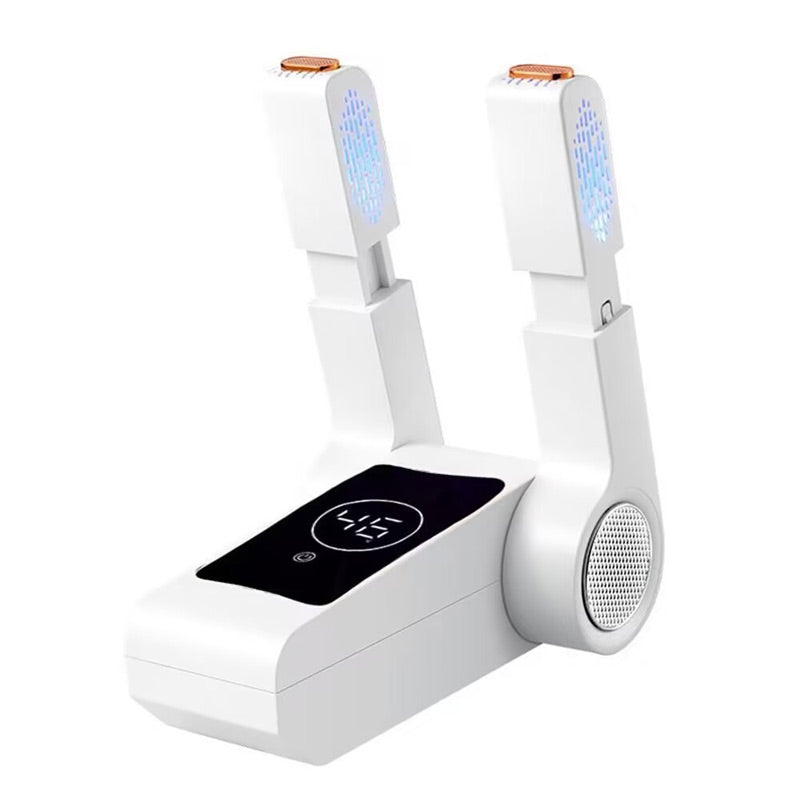 Shoe dryer (with deodorizing function)