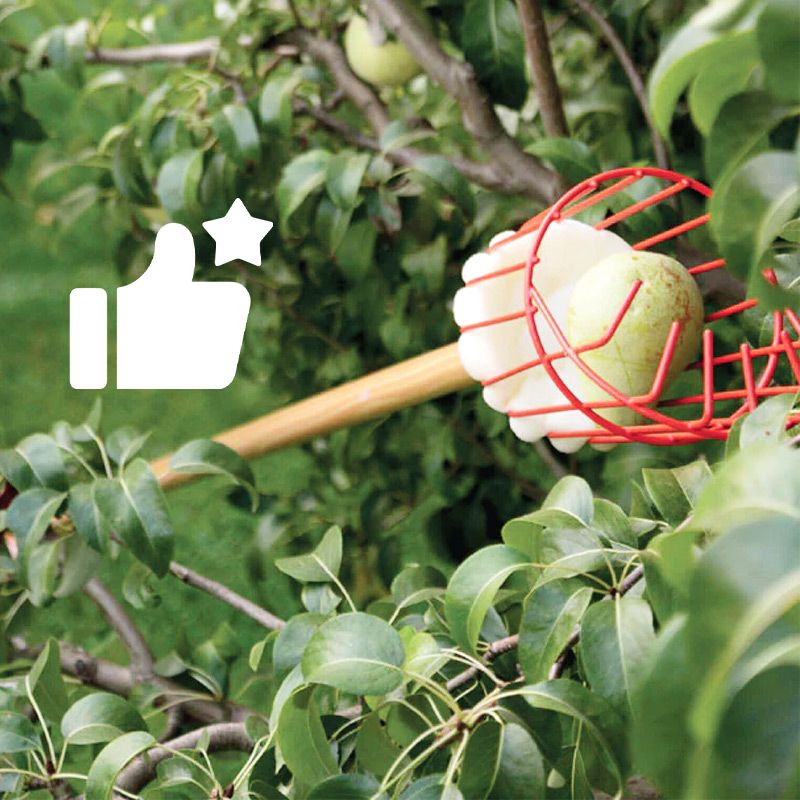 Foldable and Detachable Fruit Picker Portable Fruit Picking Tool