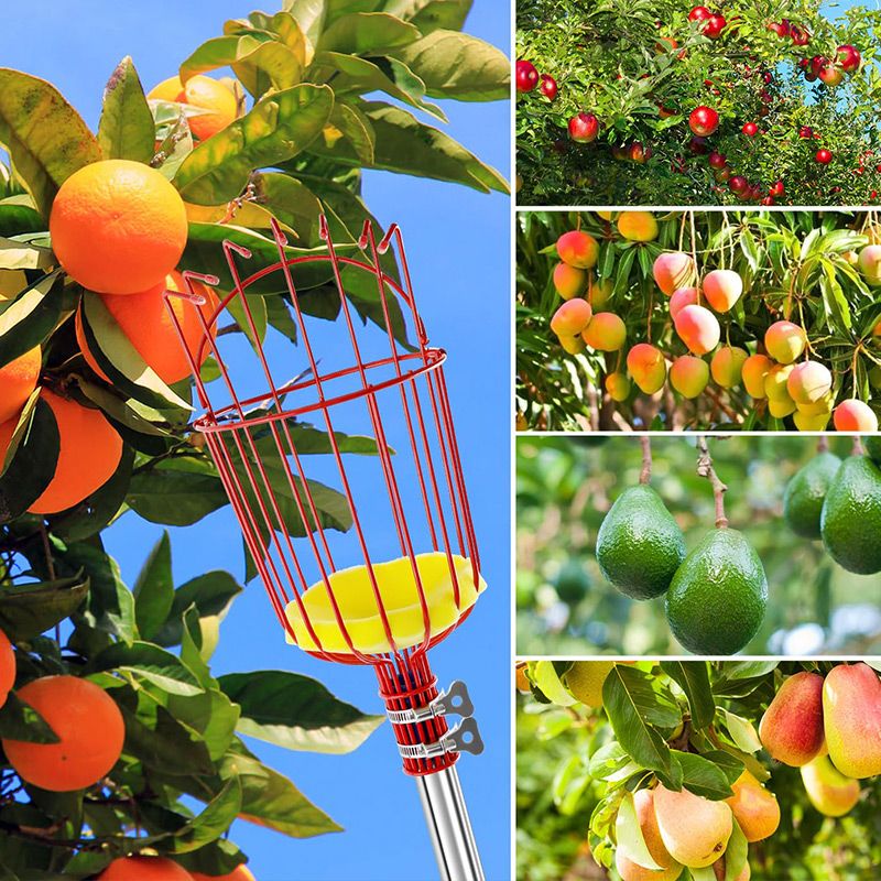 Foldable and Detachable Fruit Picker Portable Fruit Picking Tool