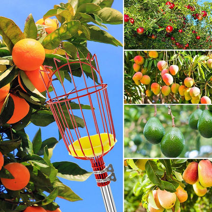 Foldable and Detachable Fruit Picker Portable Fruit Picking Tool