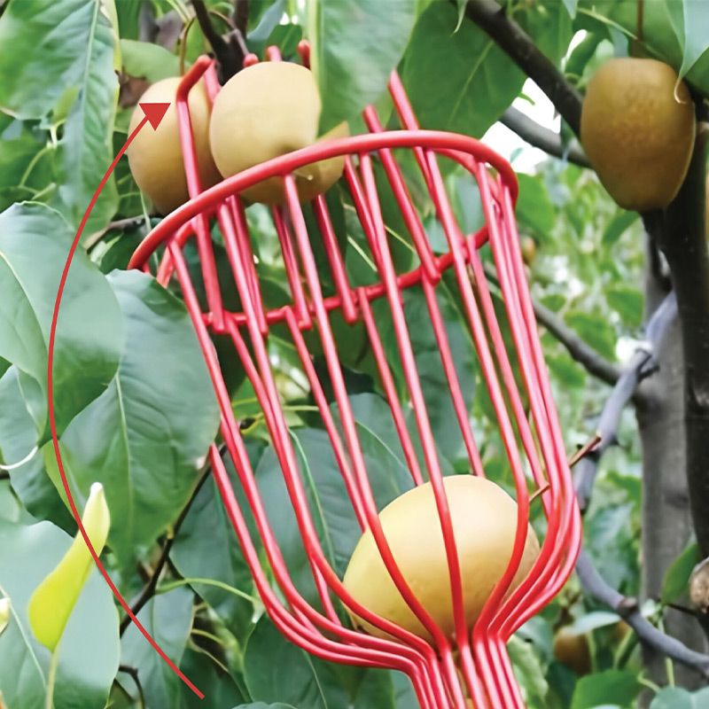 Foldable and Detachable Fruit Picker Portable Fruit Picking Tool
