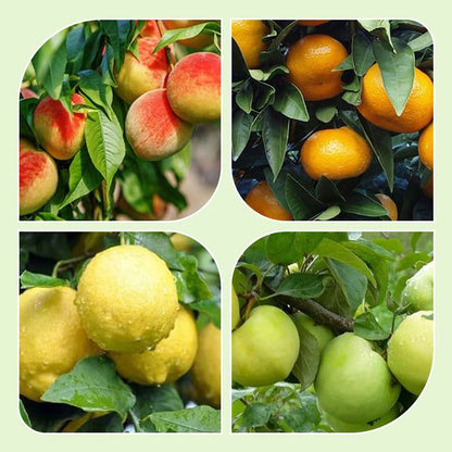 Foldable and Detachable Fruit Picker Portable Fruit Picking Tool