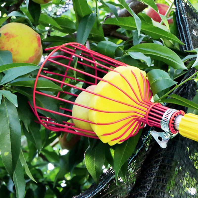 Foldable and Detachable Fruit Picker Portable Fruit Picking Tool
