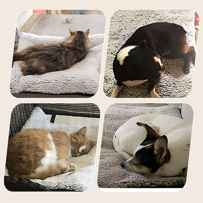 🥳2026 HOT SALE🥳💞50K+ SOLD! 🐾🔥 50% OFF! Self-Heating Pet Pad – no plug needed, reflects body heat, ultra-soft & anti-slip. Washable comfort for cats & dogs this winter! 🛏️💚