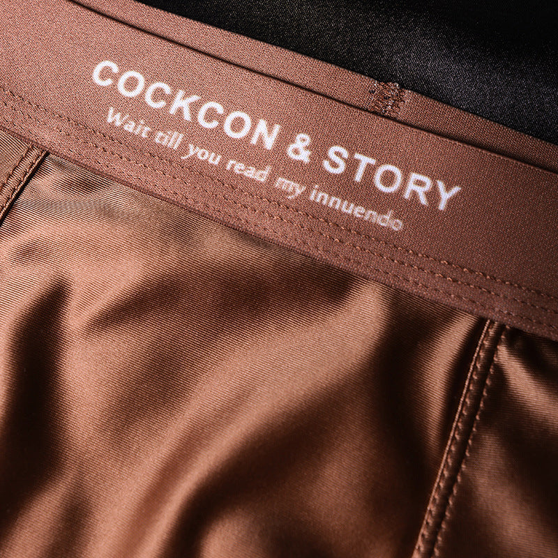 🔥BUY 2 GET 10% OFF🔥Men's Satin Ice Silk Briefs