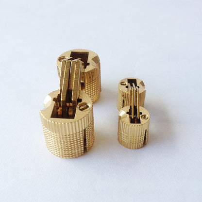 Concealed Brass Hinges