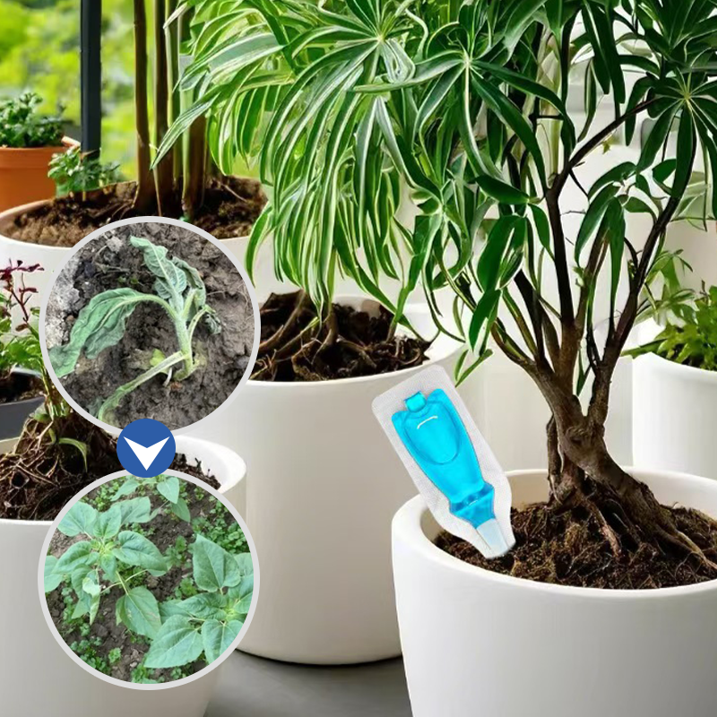 Multi-Plant Liquid Reviver