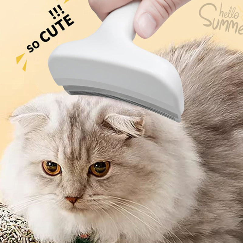 🐾 LIMITED-TIME 50% OFF! ✨ Pet Hair Removal Comb – Stainless Steel, Skin-Safe, Ergonomic 🌿