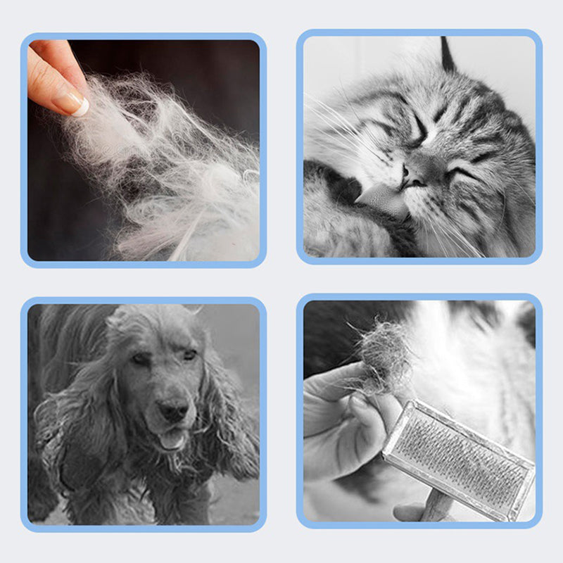 🐾 LIMITED-TIME 50% OFF! ✨ Pet Hair Removal Comb – Stainless Steel, Skin-Safe, Ergonomic 🌿