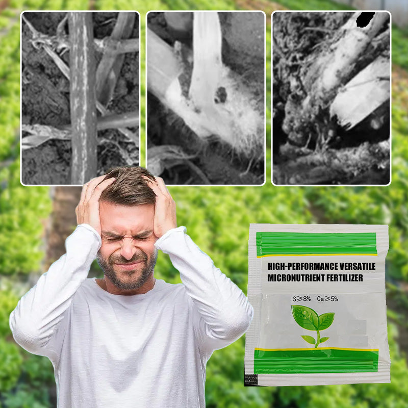 High-Performance Versatile Micronutrient Fertilizer