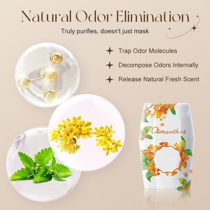 Long-Lasting & Odor Eliminating Air Freshener