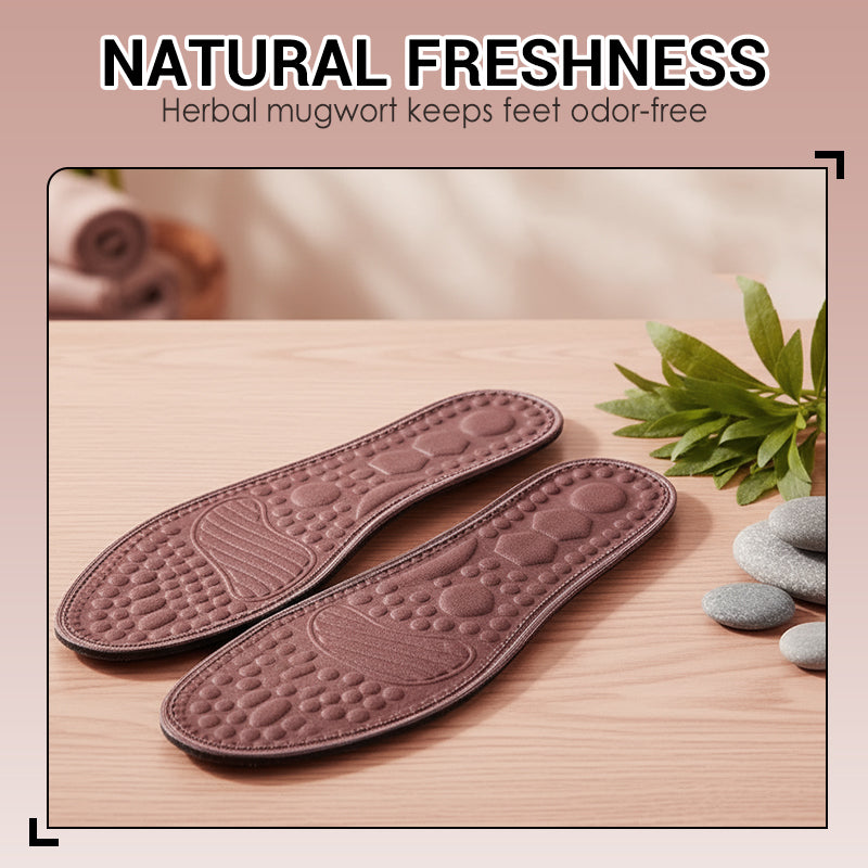 Mugwort Deodorizing Massage Insoles