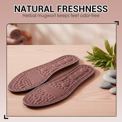 Mugwort Deodorizing Massage Insoles
