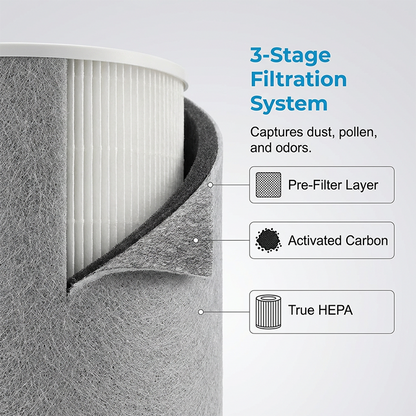 HEPA & Carbon Air Purifier Replacement Filter