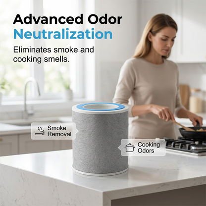 HEPA & Carbon Air Purifier Replacement Filter