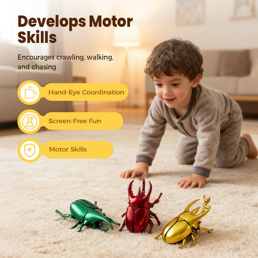 Realistic Wind-Up Crawling Beetle Toy
