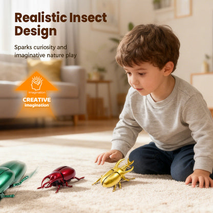 Realistic Wind-Up Crawling Beetle Toy