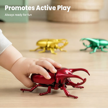 Realistic Wind-Up Crawling Beetle Toy