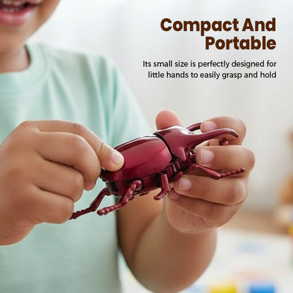 Realistic Wind-Up Crawling Beetle Toy