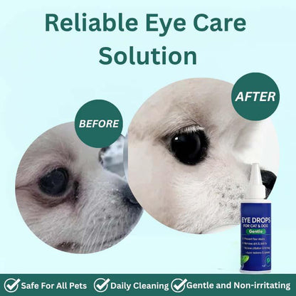 🥳2026 HOT SALE🥳💞50K+ SOLD!🧴💧 50% OFF! Gentle Pet Eye Drops – Portable & easy to use. Prevents tear stains, washes away debris. For dogs & cats.🛡️🌿