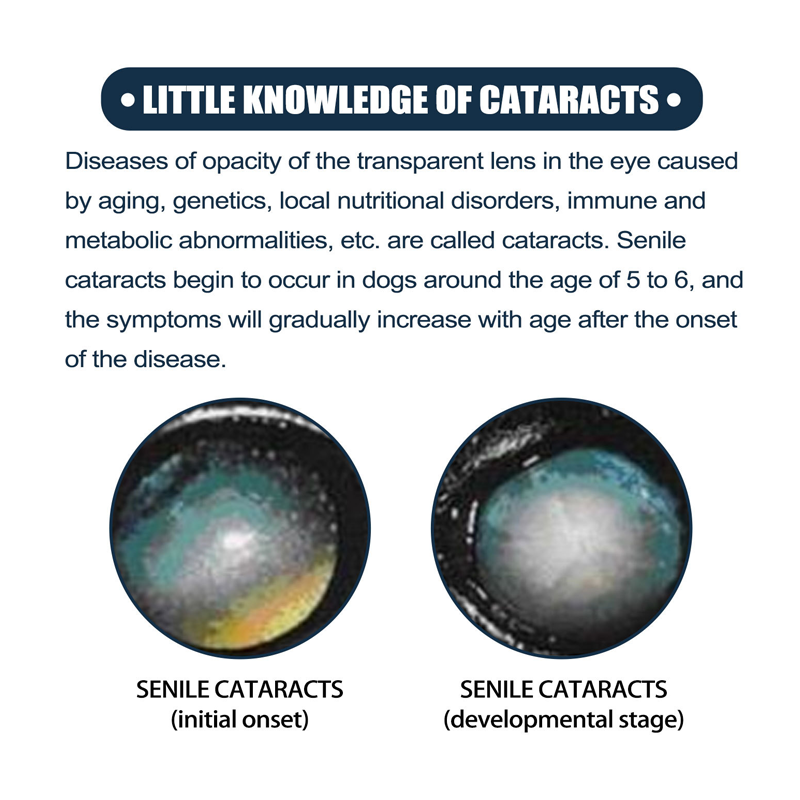Gentle Pet Eye Drops for Dogs & Cats